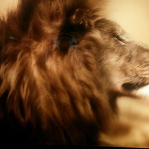 Meet your Posher, Yolanda